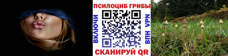 Галлюциногенные грибы мухоморы  блэк спрут   Белебей 