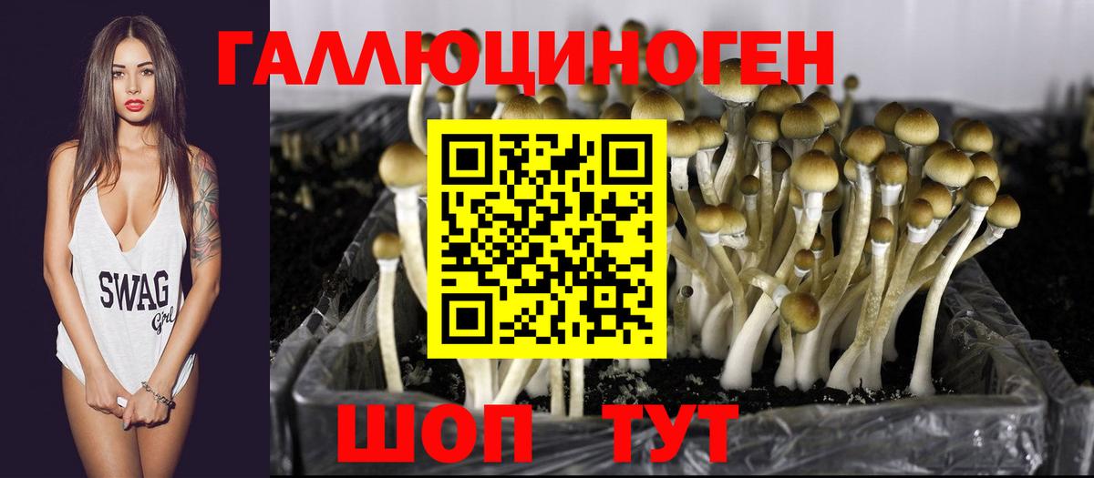 Белебей  Галлюциногенные грибы мицелий  Вход с VPN 